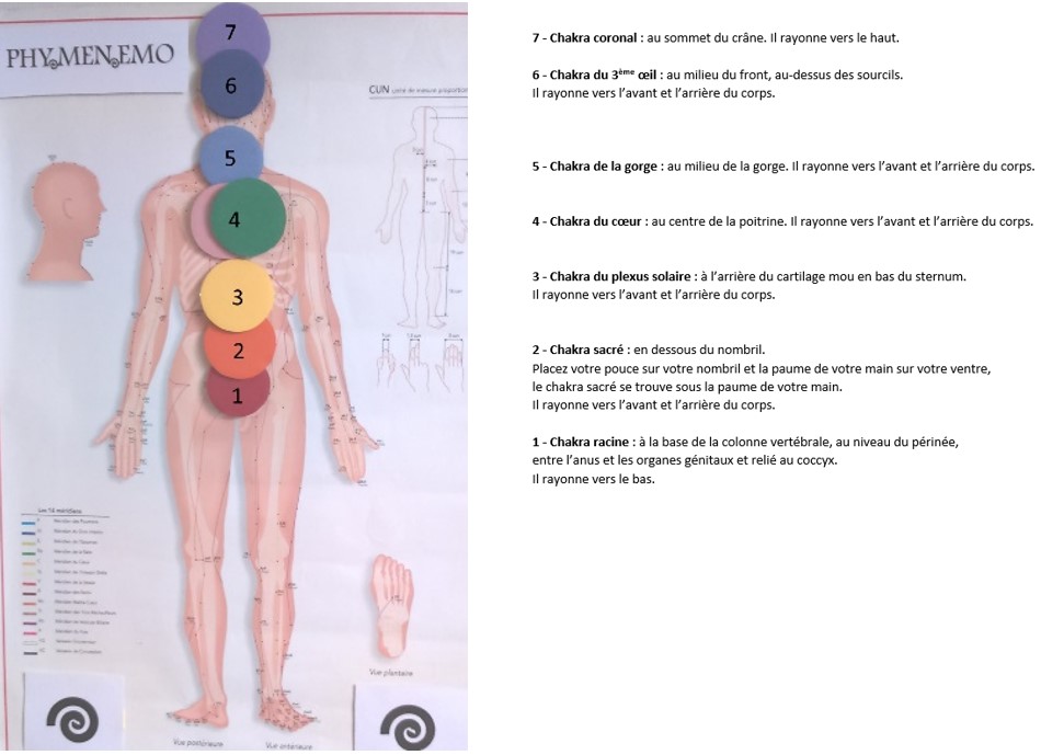 les 7 chakras principaux