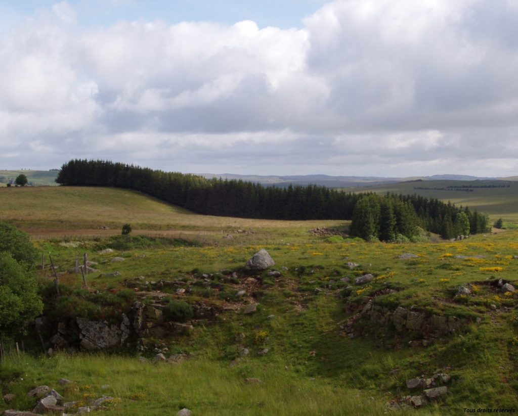 Méfaits du téléphone mobile