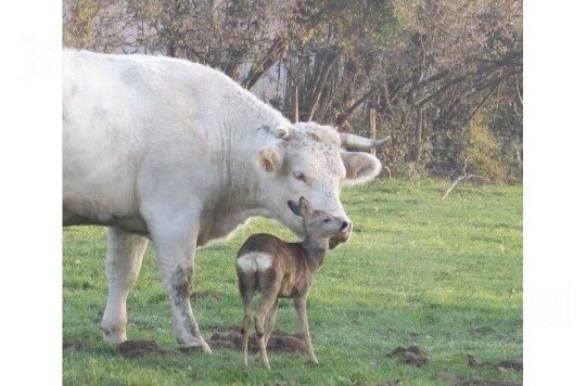 Ateliers : clair-ressenti & énergie lunaire
