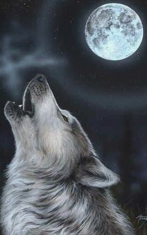 Tu peux vivre avec les pouvoirs divins de la Lune