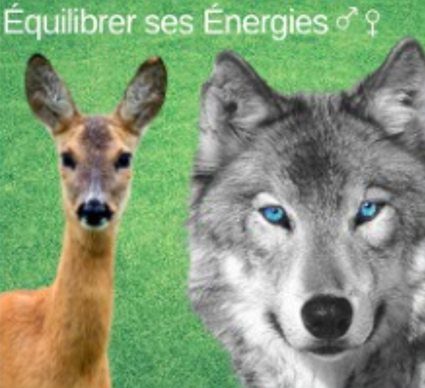 Équilibrer ses Énergies féminines et masculines