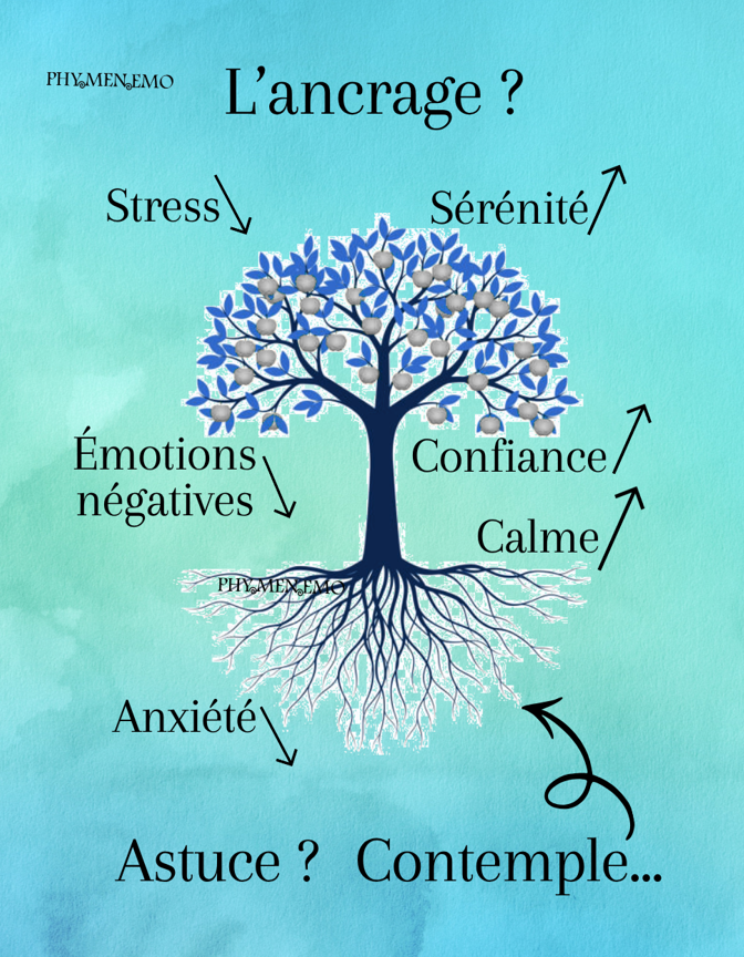 S'ancrer en contemplant l'arbre de vie